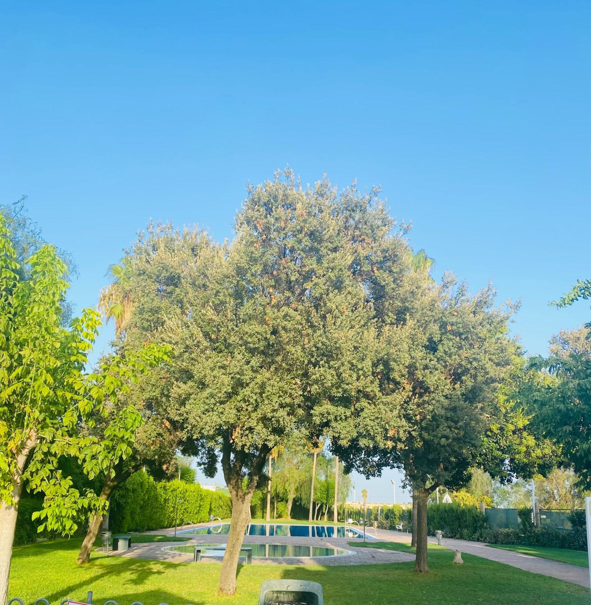Studio Palomar - Palomargroup Alfara Del Patriarca 외부 사진